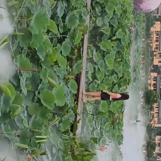 雨后彩虹