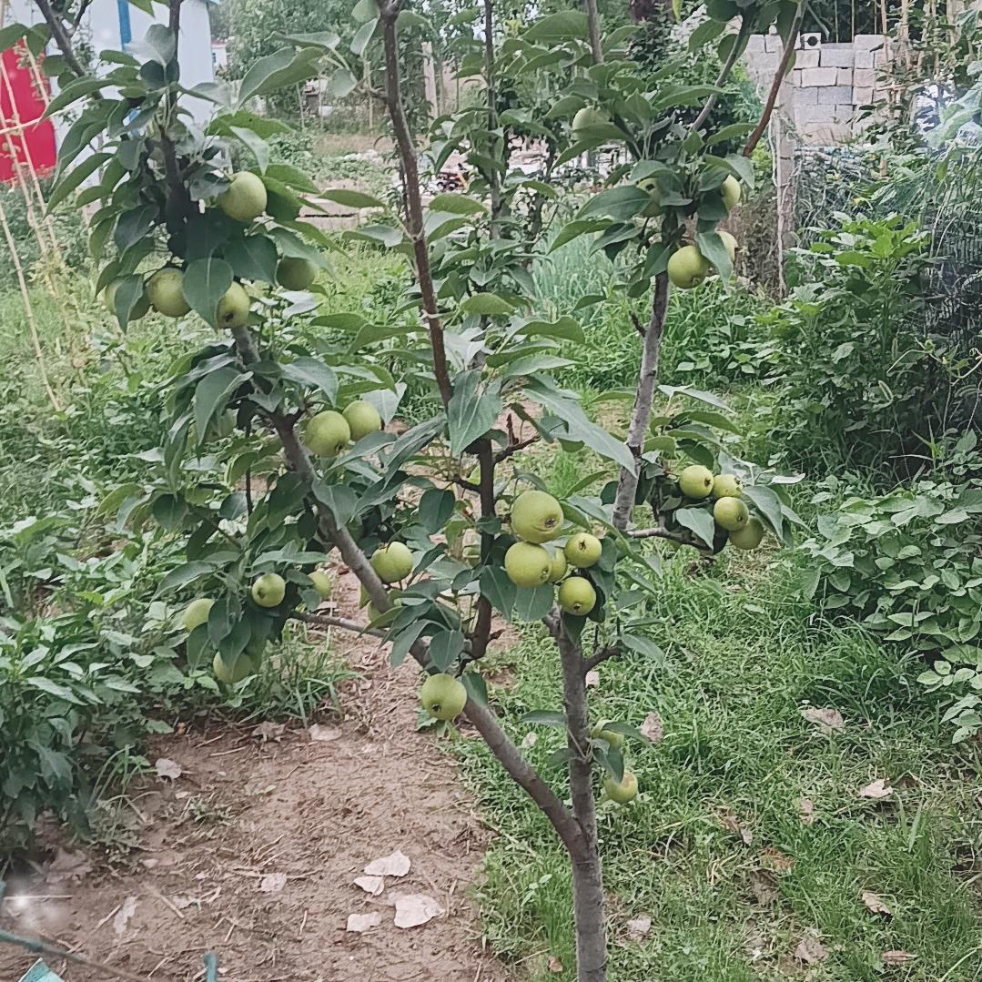 不该想的事别想