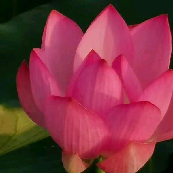 往事清零，，，