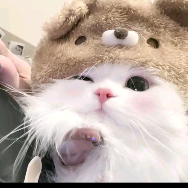 钦州租房房东直租