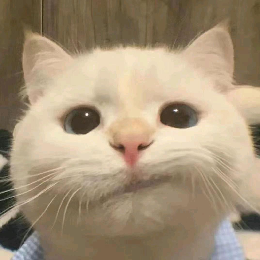 诺贝尔聪明奖