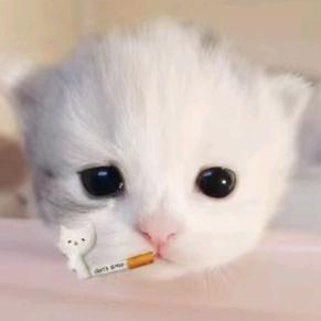 怎么还不是周末