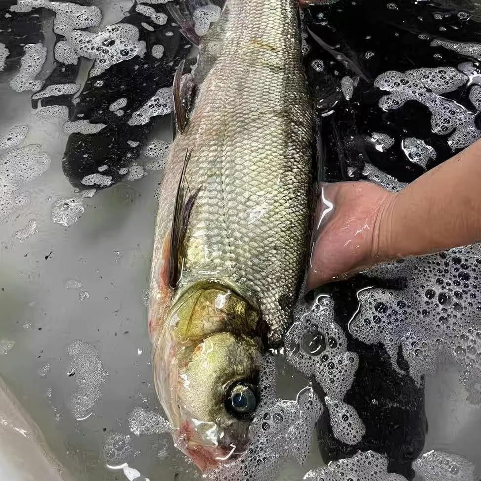 🇨🇳🇨🇳☃️🌨