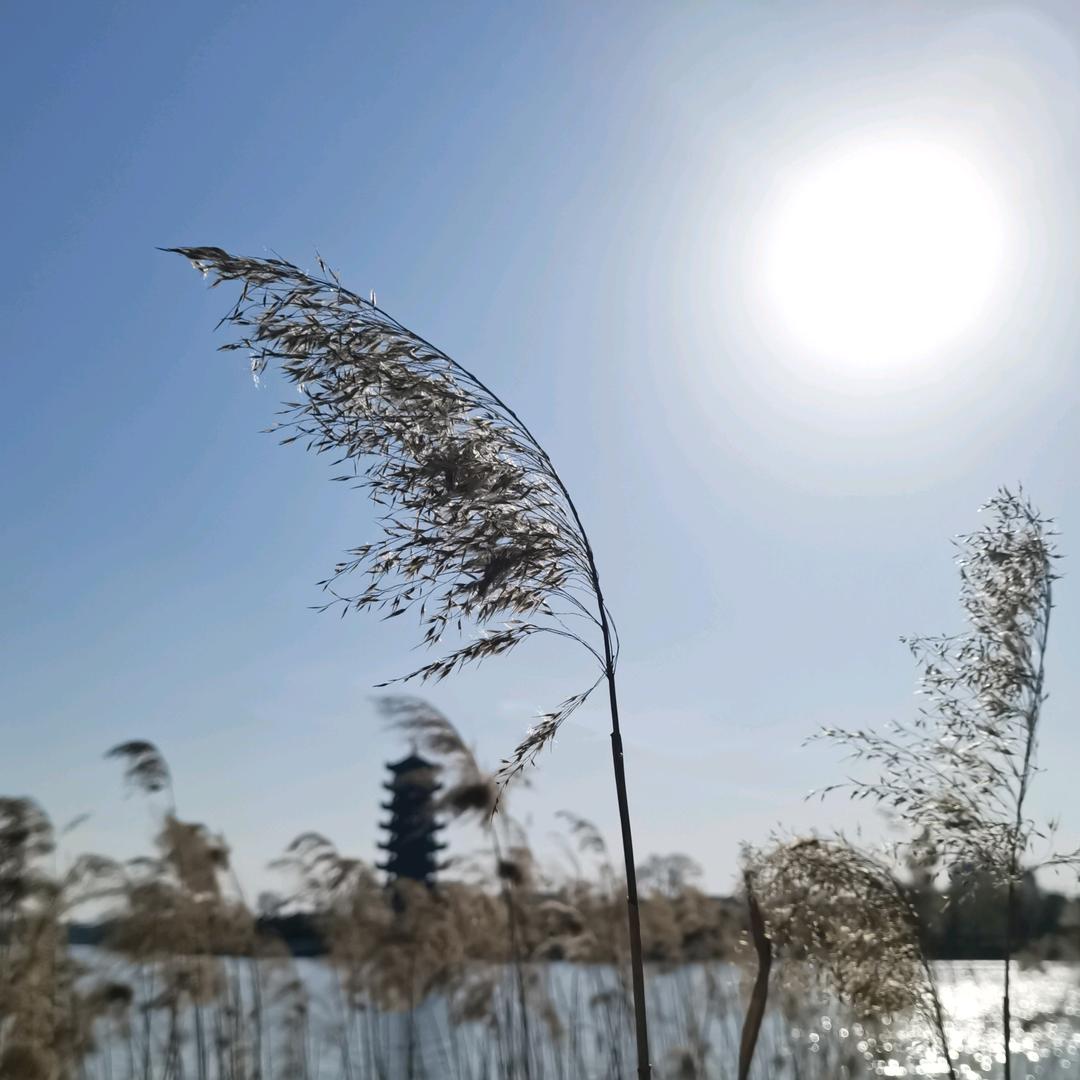 黙语