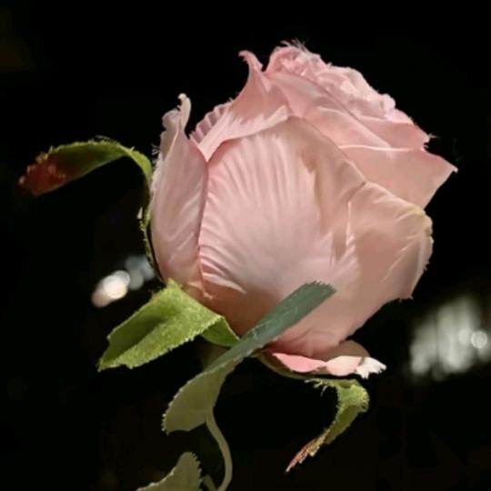 এ᭄💕哭了谁疼᭄এ᭄