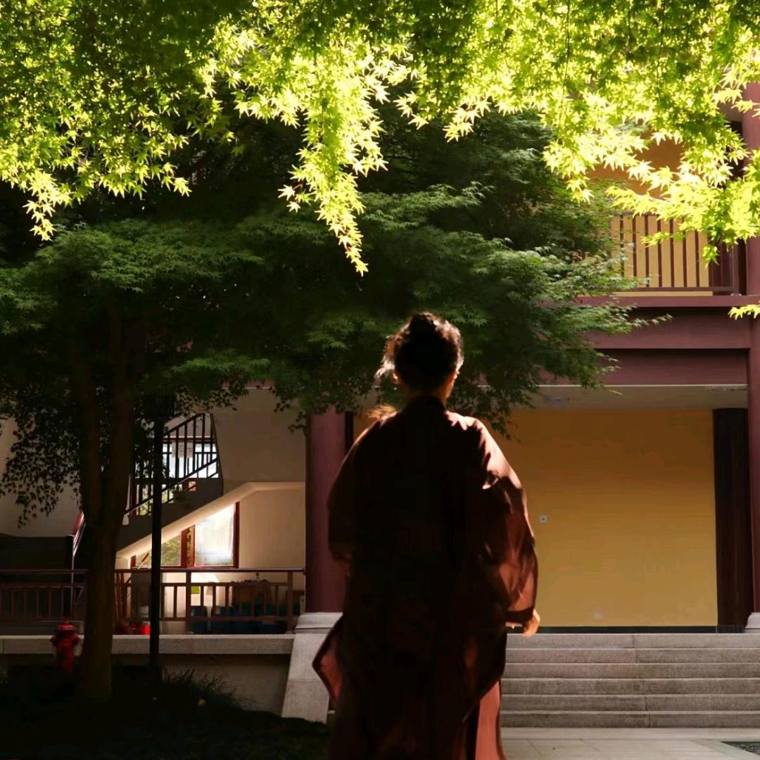 初见🍃