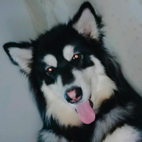 铁人三汪（小七）