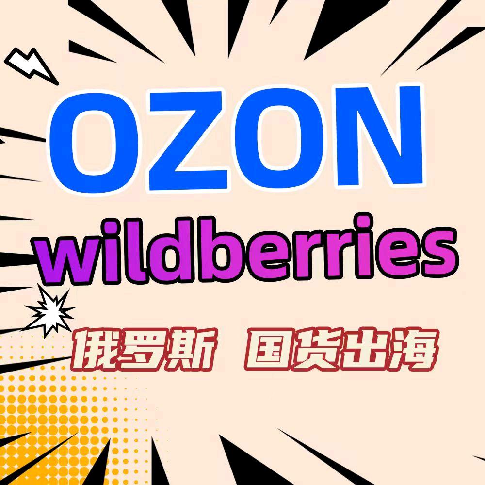 俄罗斯本土电商小静子