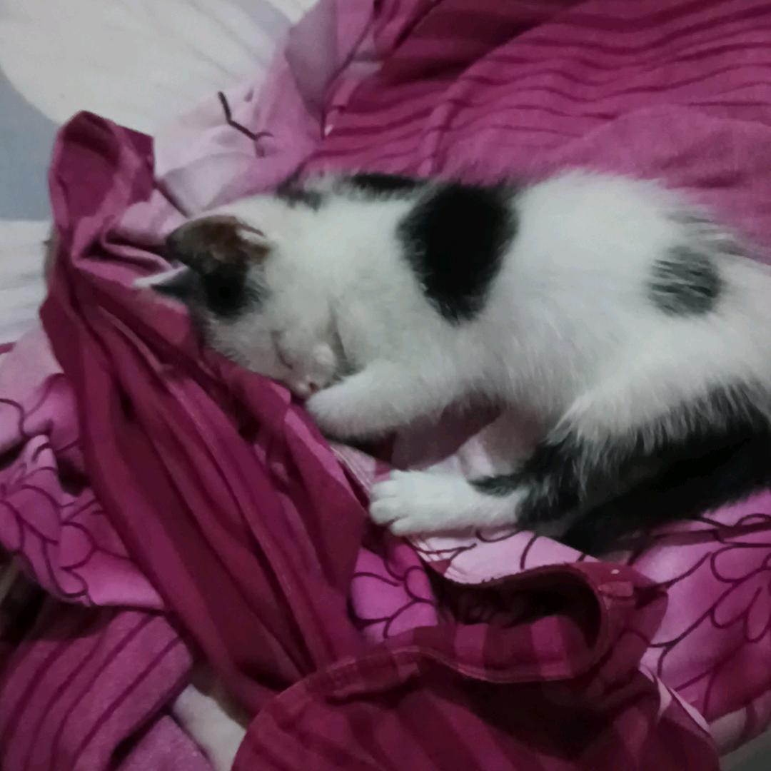 (晴晴）