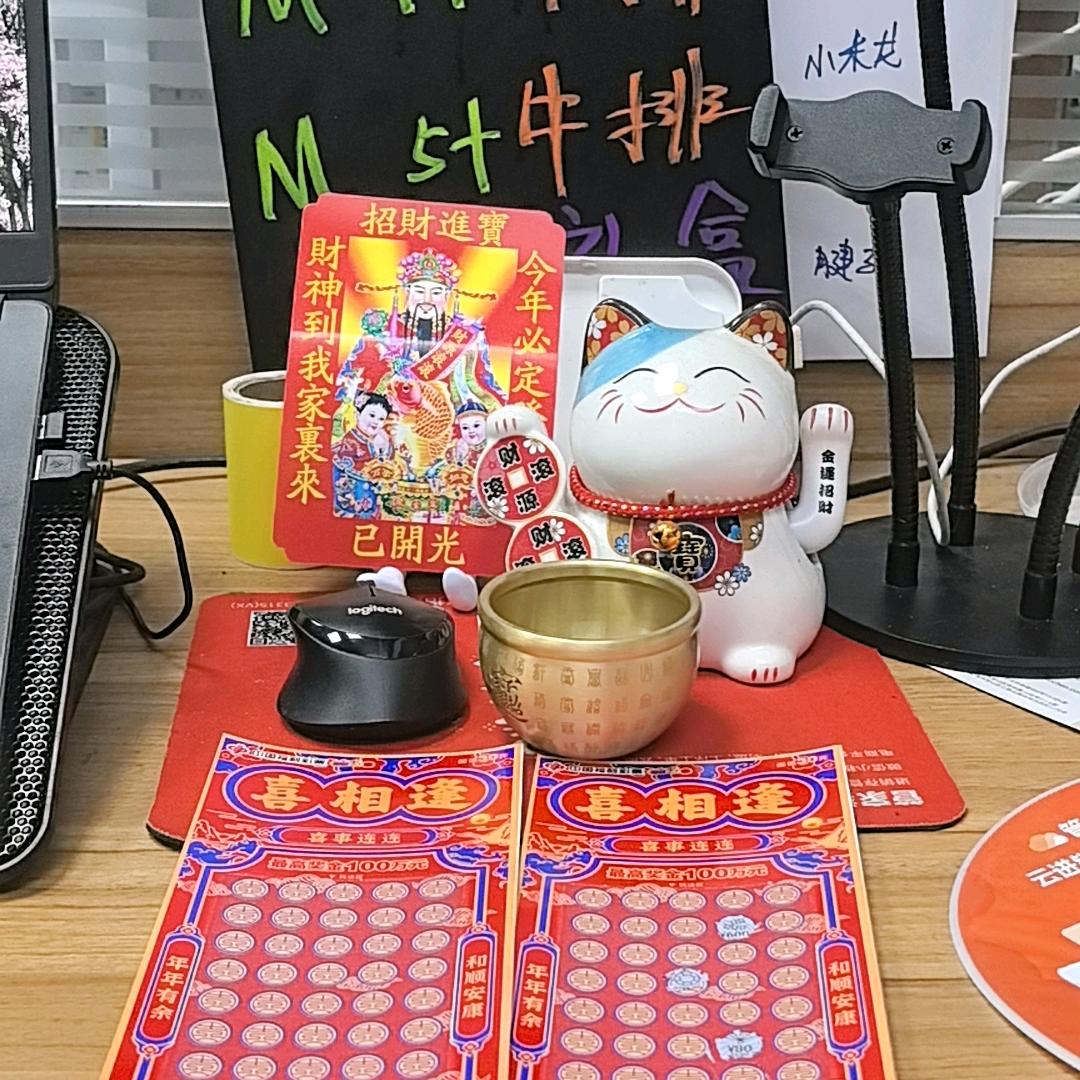 澳洲1265纯血和牛muse小霍！