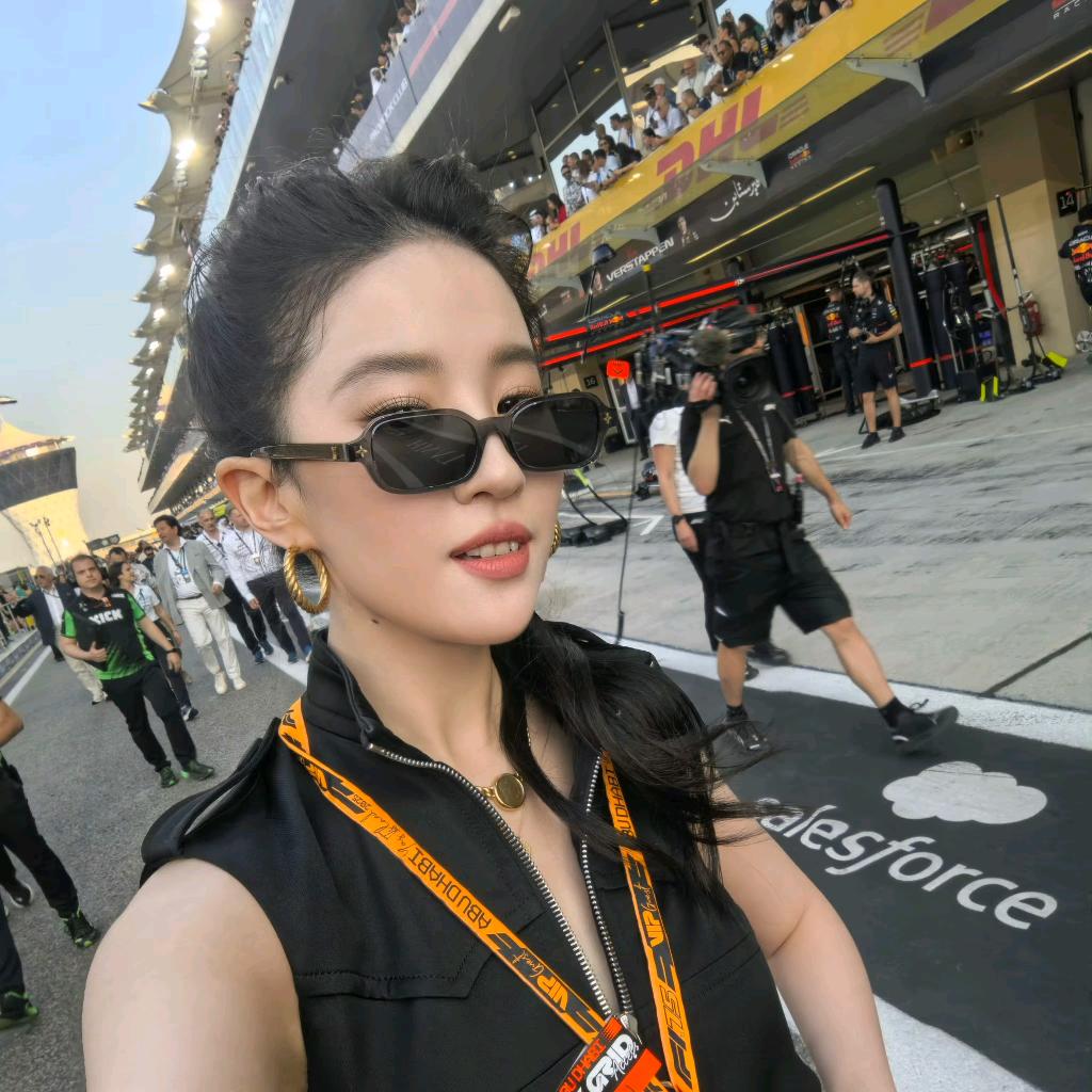 一条史迪奇
