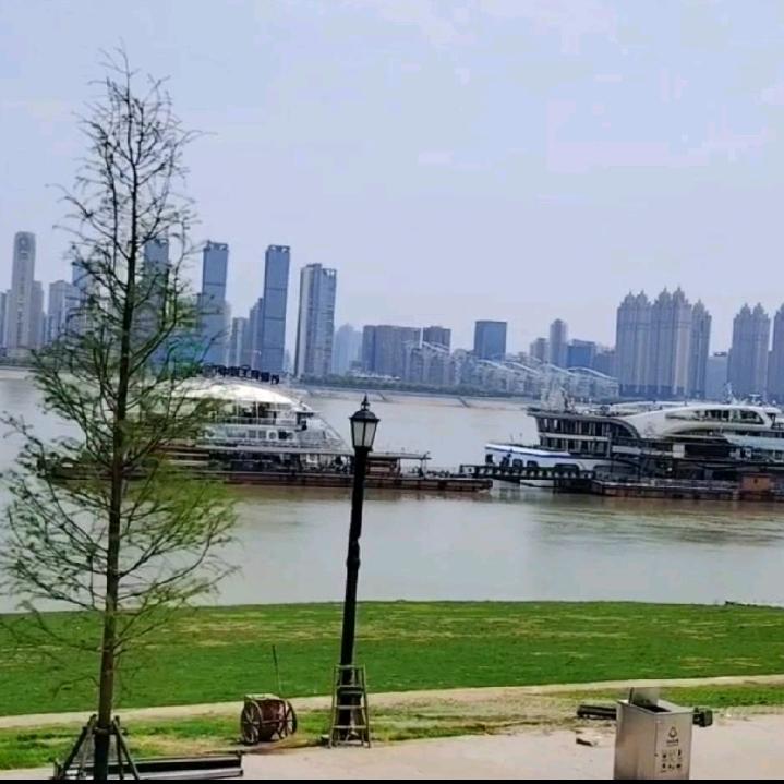 一个人自由