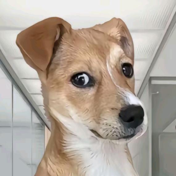 Ababa