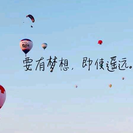 莎莎贝壳