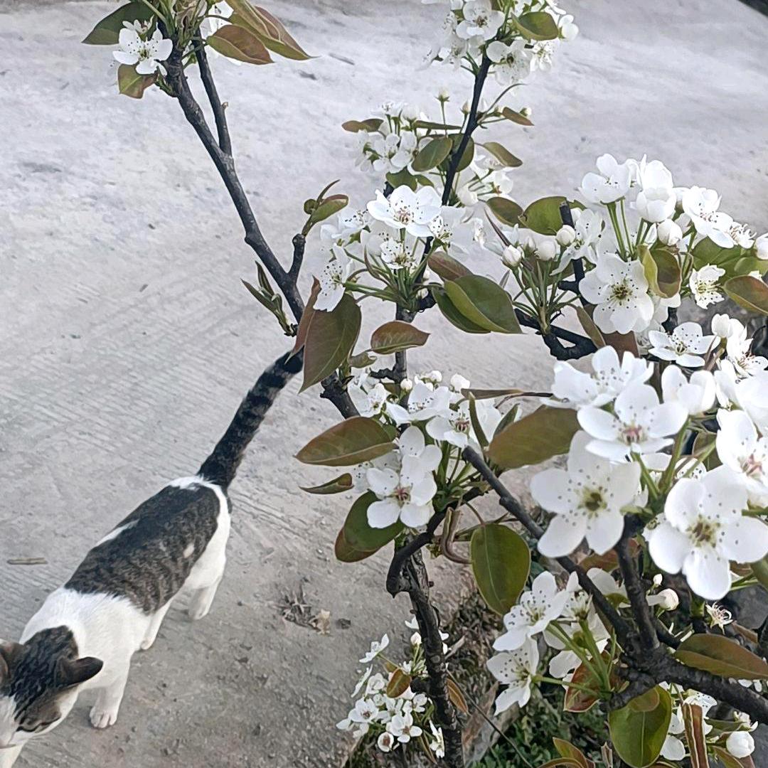 爱财悦己🌴🌴