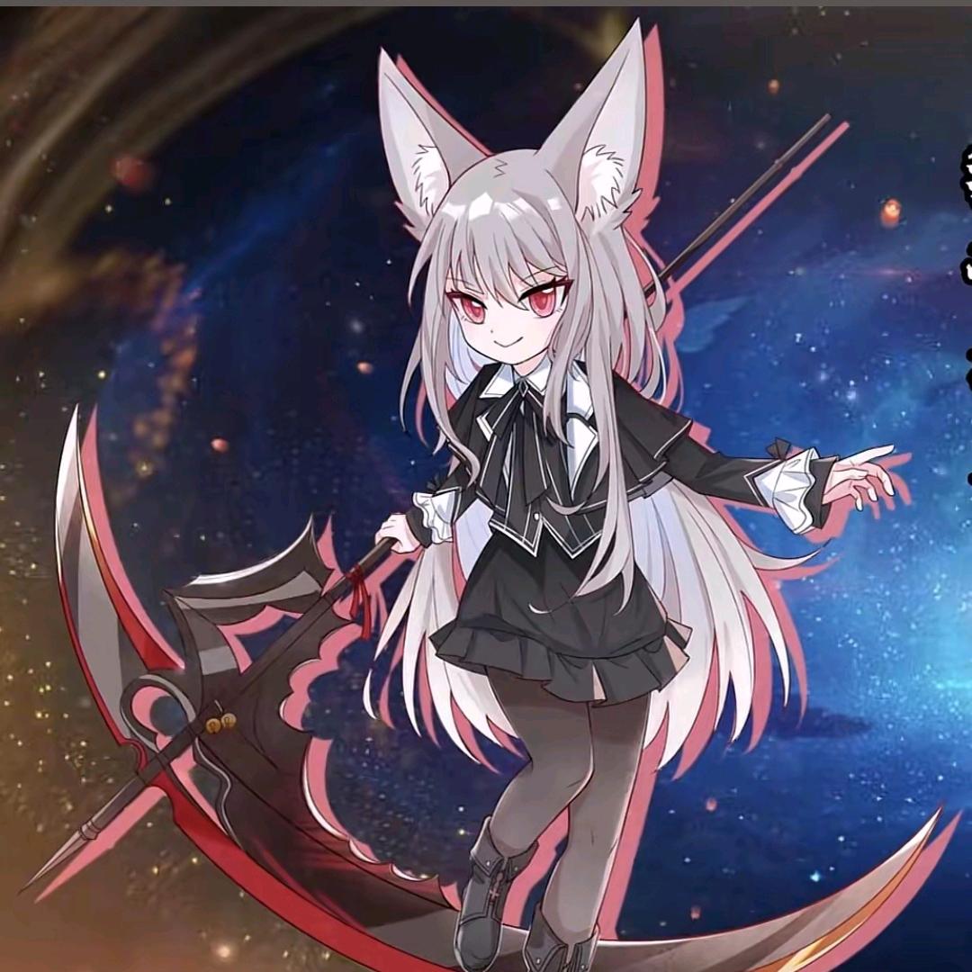 猫婉清