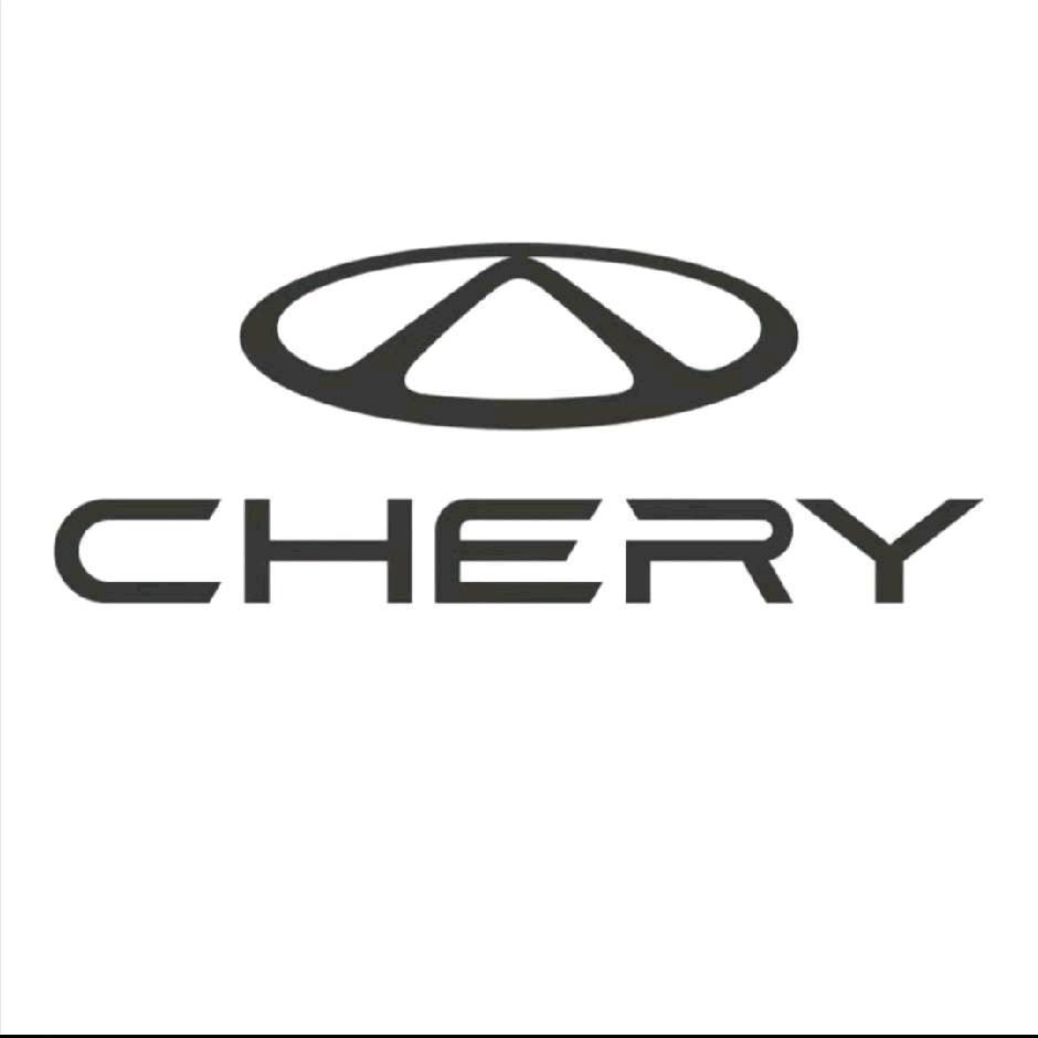 延安奇瑞-姜袁义