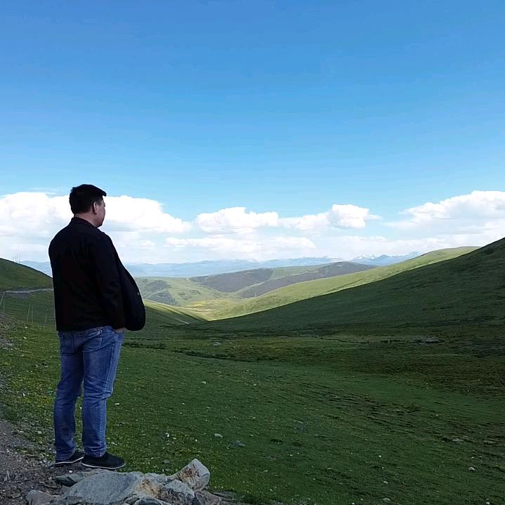 清清河边草