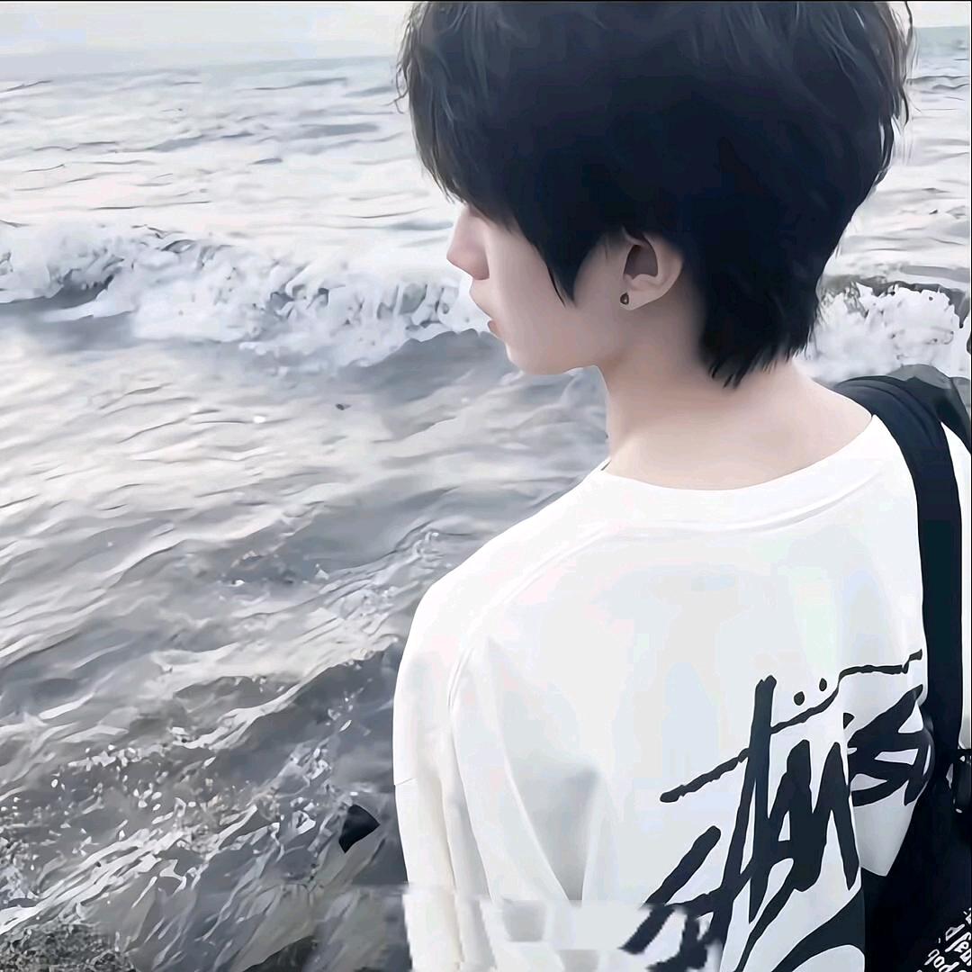 枫
