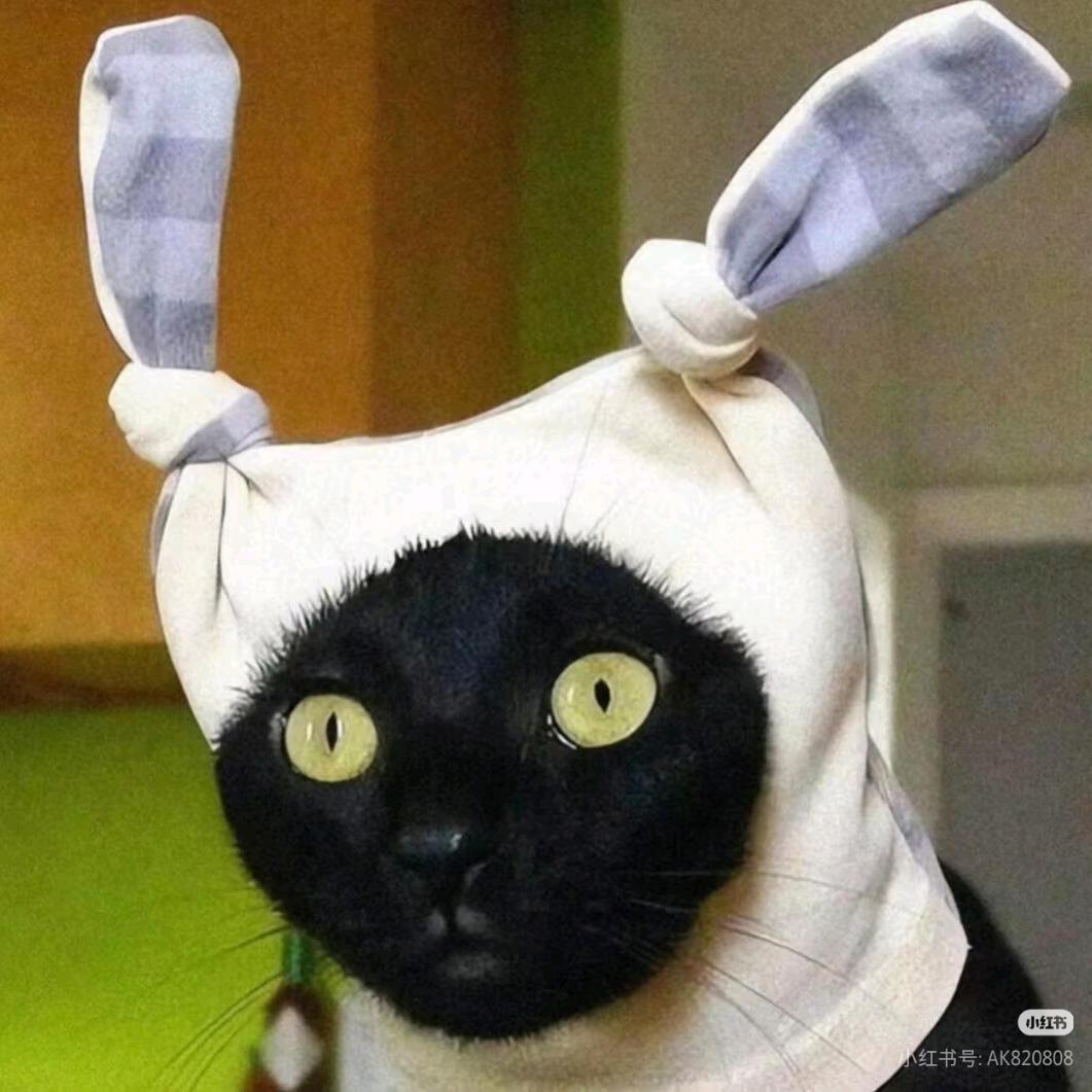 七七（羊了个羊睡不饱版～）🐑