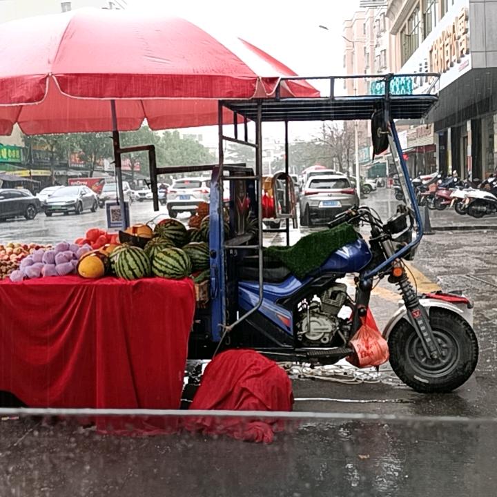 海丰丽绿果园，黄绿，家和万事兴，恭喜发财