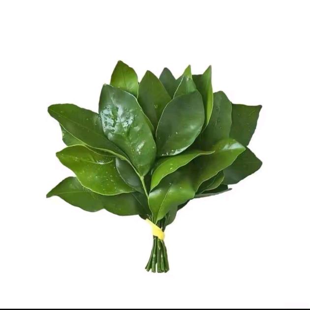 哄不好自己