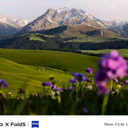 要狗牯脑🍵找江西阿兰👏🍋🍋