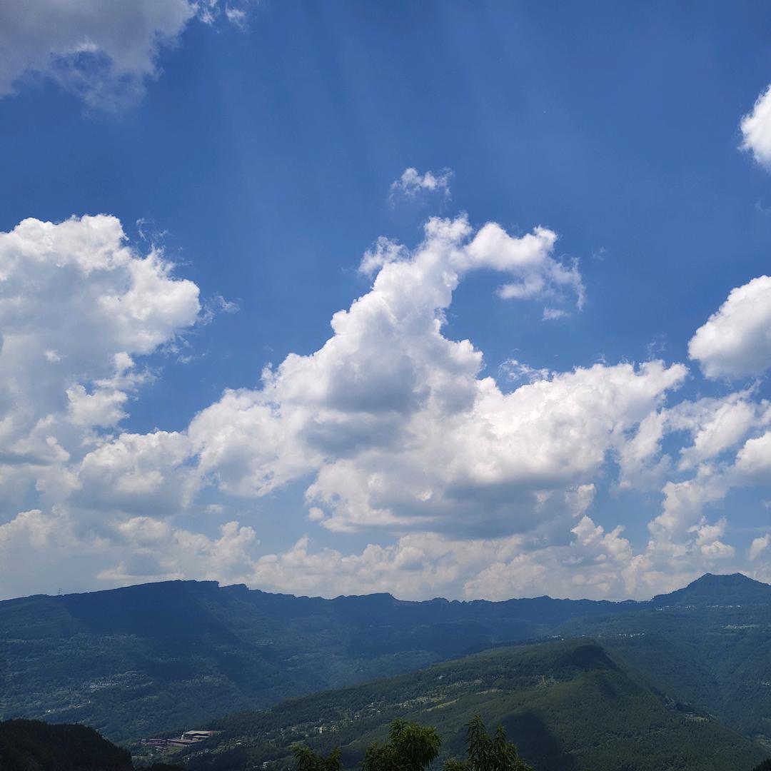 吾迩杉