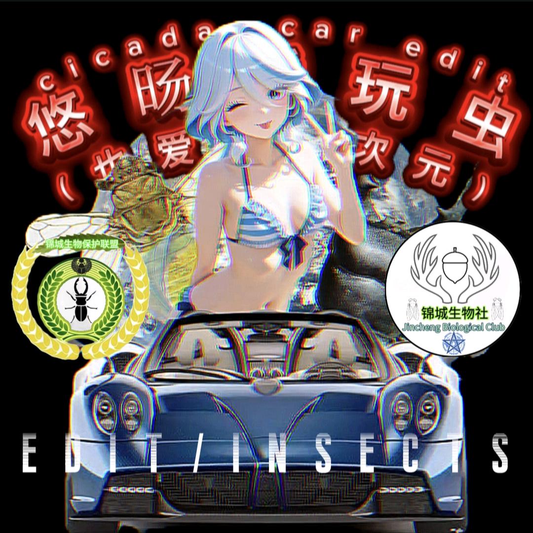 悠旸爱玩虫（也爱玩二次元＋edit）