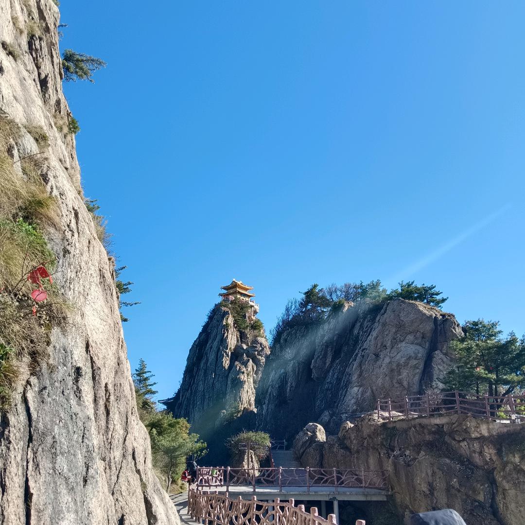 阳光很活泼
