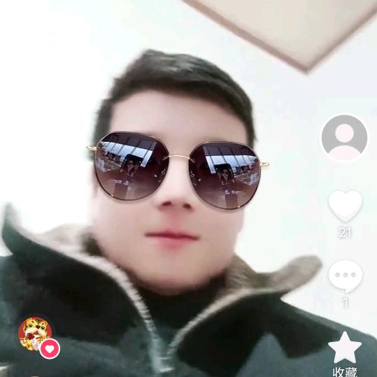 孤独的狼