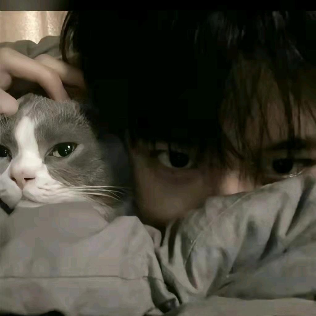 會i