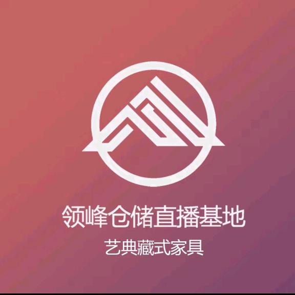 领峰家具仓储一站式