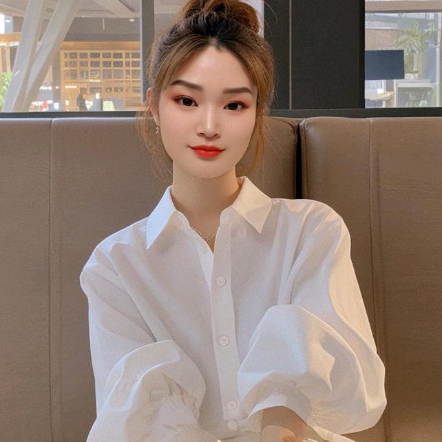 不吃鱼的猫
