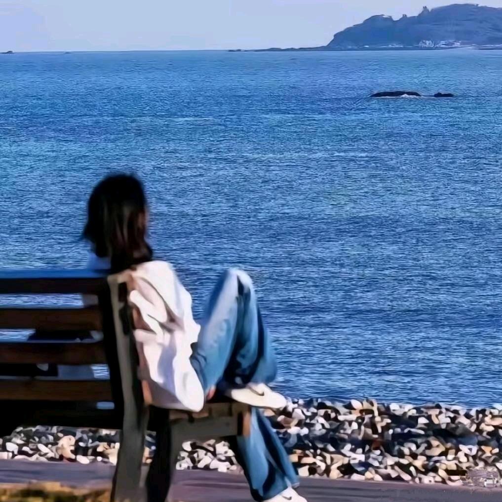 一条善忘的二哈