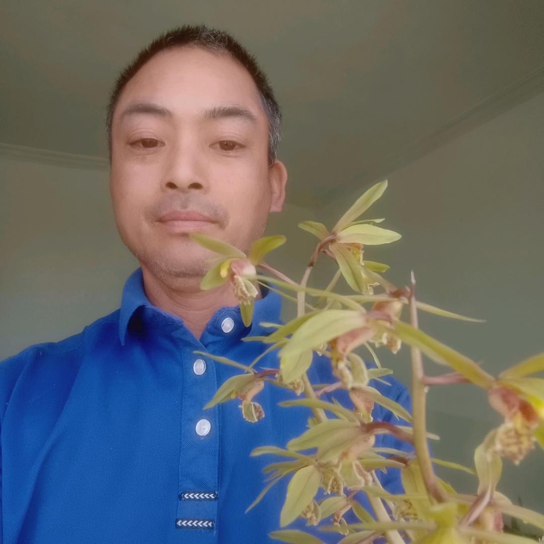 小海歌
