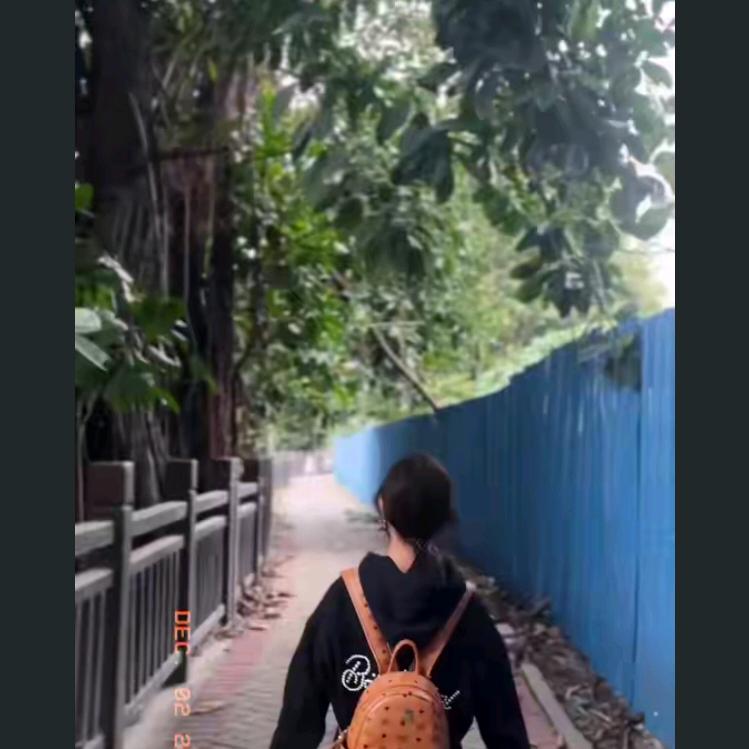 悄悄又给你。雅