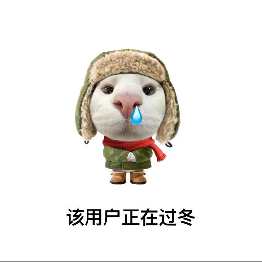 花落易碎