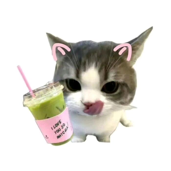 熊二骑鬼火带光头强去镇上喝蜜雪冰城