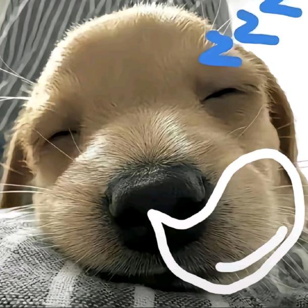 睡醒还是好困