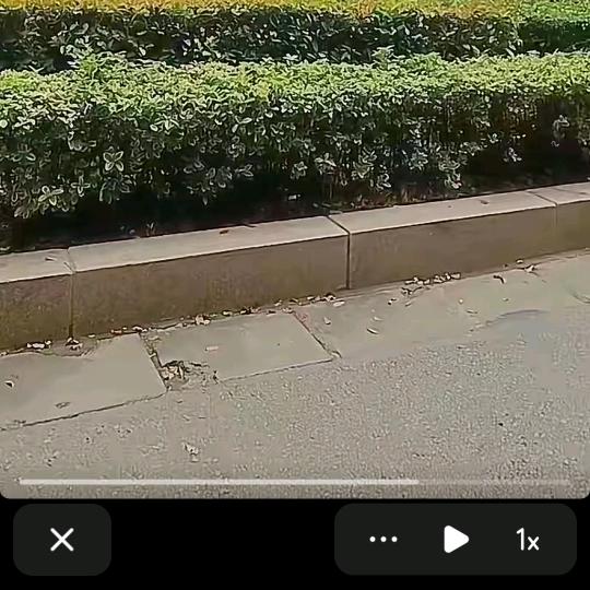 。。我以为