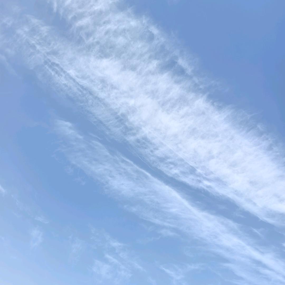 风雨兼程，一路前行