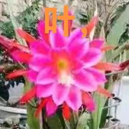 。。。。。。。