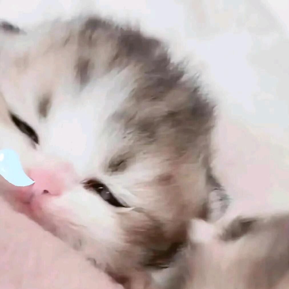 小陈陈陈陈陈