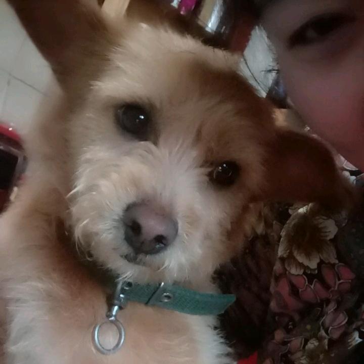 忧郁小王子呆萌~Damon