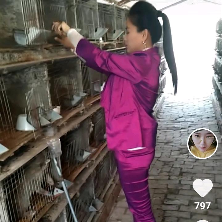 兔二姐
