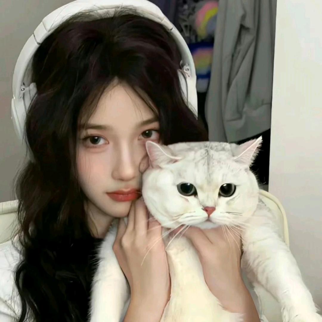 昭昭云端月