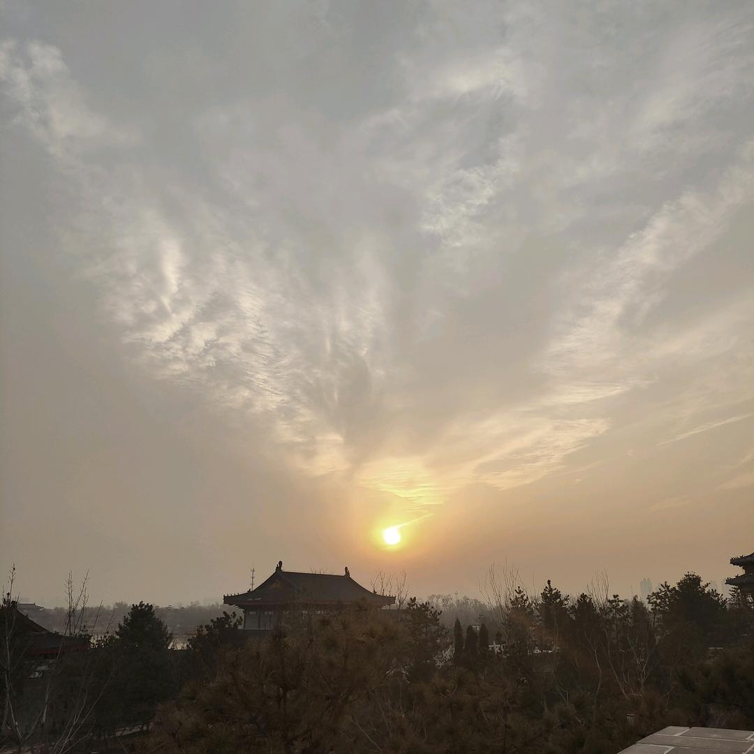 长枭四