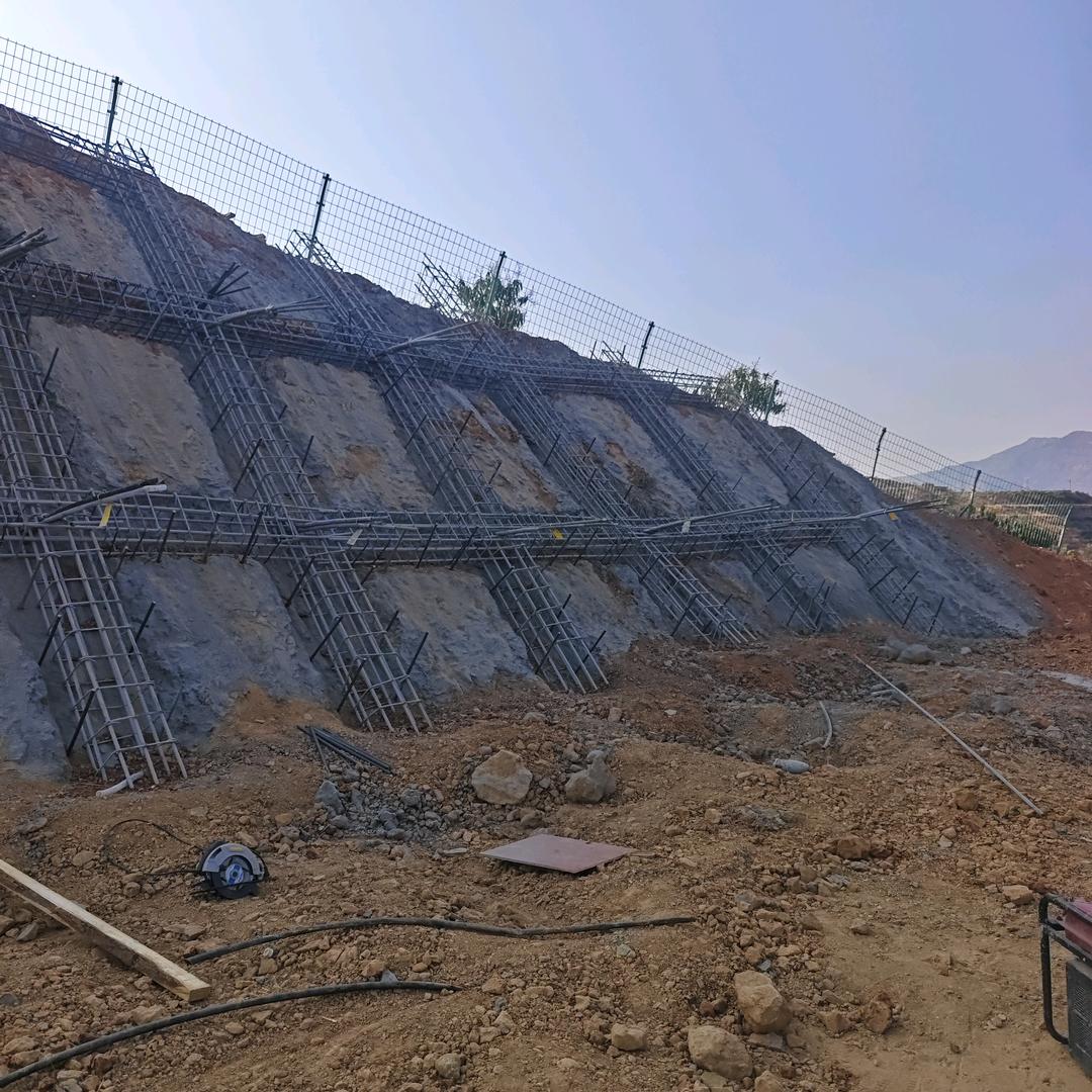 陈          俯及Shen