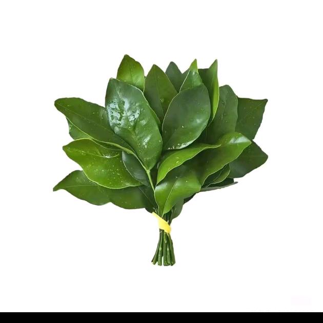 零点零一秒